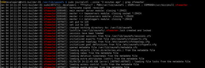 LeilFS Regular syslog